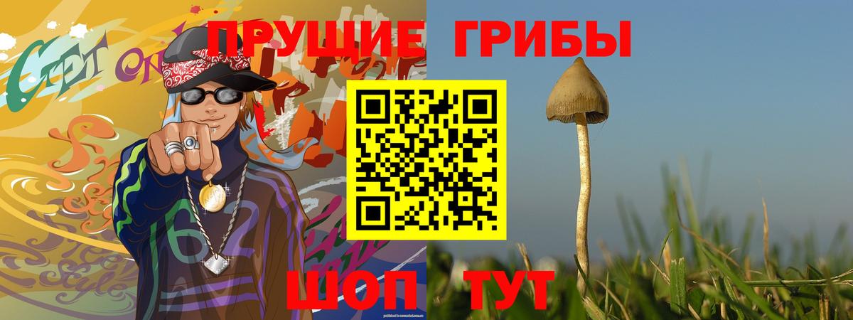Галлюциногенные грибы Psilocybine cubensis Екатеринбург